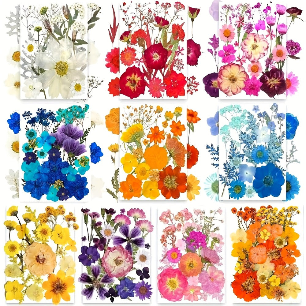 Dried Pressed Flowers Kit 500pcs – Natural Real Flower Petals & Leaves for Resin Art, Nail Art, Jewelry Making, Scrapbooking