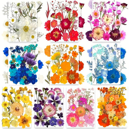 Dried Pressed Flowers Kit 500pcs – Natural Real Flower Petals & Leaves for Resin Art, Nail Art, Jewelry Making, Scrapbooking