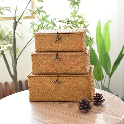 Rattan Storage Baskets Set of 3 with Lattice Lids and Label Holders in Graduated Sizes for Home Organization