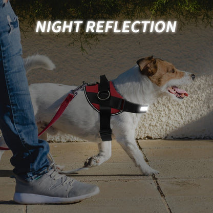 Reflective-Trim Dog Harness in Seven Colors and XS–XXL with Chest Band, Back Ring and Top Handle