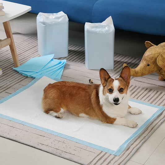 Dog Urine Pads Super Absorbent 23.6"x23.6" – Ultra-Thick Puppy Training Pads & Pet Toilet Pads, Rapid Liquid Lock
