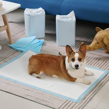 23.6-Inch Square Pet Training Pads with 50, 125 or 300-Piece Pack Options in Blue and White