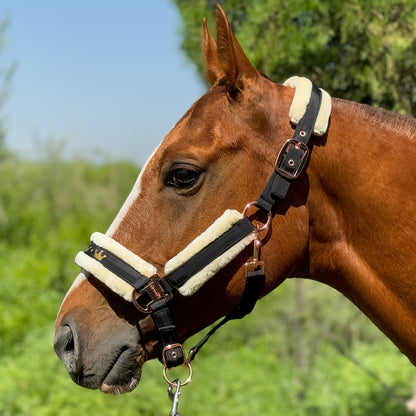 Horse Halter with Detachable Faux Fur Band & Glossy Buckle – Adjustable Head Collar for Horses, Available in 15 Colors & 3 Sizes FULL COB