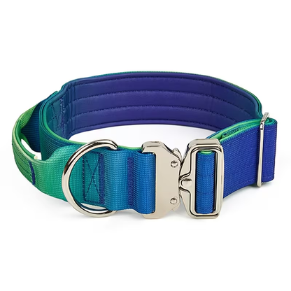 Gradient Dog Collar with Grab Handle, Quick-Release Metal Buckle and D-Ring in Three Size-Color Options