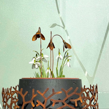 Rustic Metal Snowdrop Garden Stakes, Three-Piece Curved Flower Set with 25 cm Stems for Pots and Borders