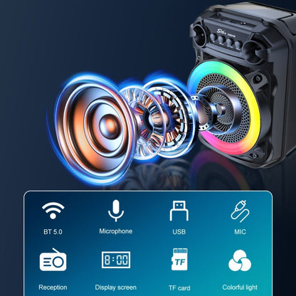 Portable Wireless Karaoke Speaker with Microphone & Bass Boost, TWS Stereo Sound, TF/SD Card Player