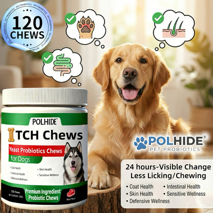 Dog Probiotic Chews 120 Count Heart-Shaped Soft Chews with Yeast & Meat Flavor | Supports Gut Health Coat & Immunity | All Breeds All Ages |