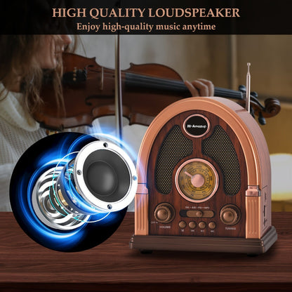Portable AM FM SW Radio Bluetooth Speaker, Multi-Function Wireless Speaker with TF Card Player, Stereo Sound