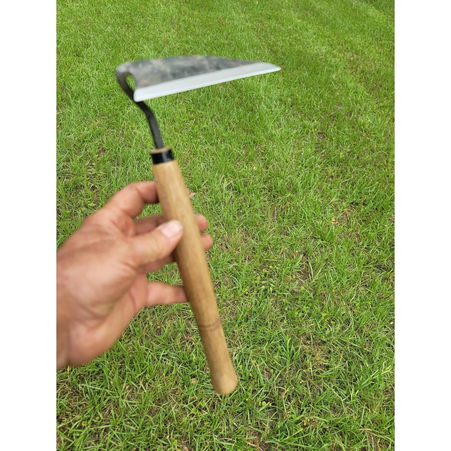 Japanese Weeding Sickle Full Size Sharp Carbon Steel Blade with Handle, Traditional Hand Hoe for Fast Garden Weeding