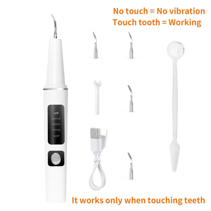 USB-Rechargeable Pet Dental Cleaning Tool with Four Interchangeable Heads, Five Modes and Dual-Lamp Illumination