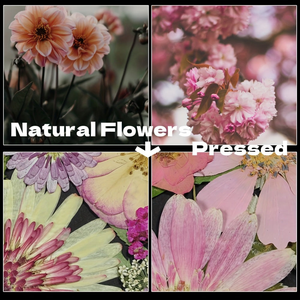 Dried Pressed Flowers for Resin 60pcs Real Pressed Flowers Dry Leaves Bulk Natural Herbs Kit for Scrapbooking DIY Art Crafts