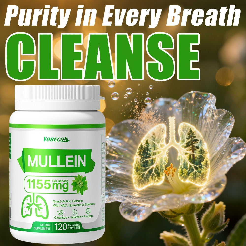 Herbal Supplement with YOBECON Label, Mullein NAC Quercetin Elderberry 1155mg per Serving, 120 Capsules