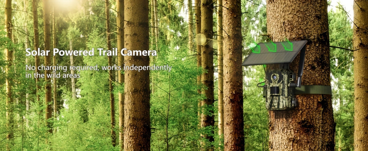 Solar Powered 4G Trail Camera 4K Live View 0.2s Trigger Speed 120° Wide Angle 850nm Night Vision No WiFi Needed Cellular Hunting Wildlife