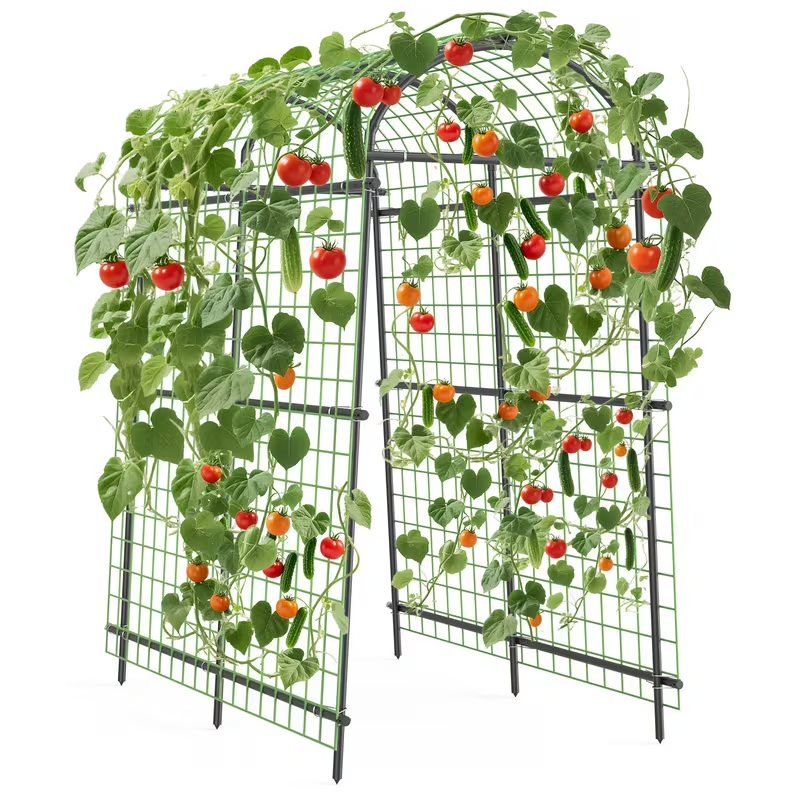 Garden Arch Trellis 7.5ft Tall Metal Climbing Plant Support with Netting for Vegetables Flowers Roses for Garden, Patio and Yard Use