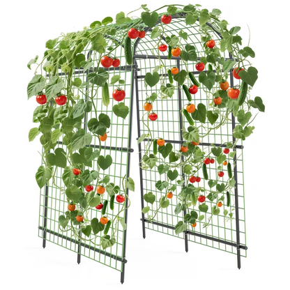 Garden Arch Trellis 7.5ft Tall Metal Climbing Plant Support with Netting for Vegetables Flowers Roses for Garden, Patio and Yard Use