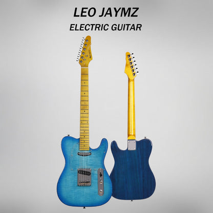 Guitar Replacement Part, Honey Burst, Leo, Jaymz, DTL for Guitar Repair for Home Practice detail image - detail view 11
