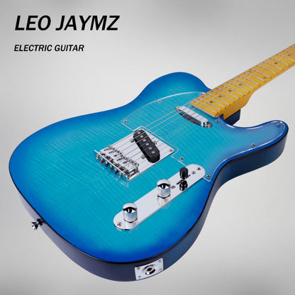 Guitar Replacement Part, Honey Burst, Leo, Jaymz, DTL for Guitar Repair for Home Practice detail image - detail view 12