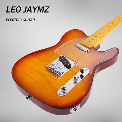 Guitar Replacement Part, Honey Burst, Leo, Jaymz, DTL for Guitar Repair for Home Practice detail image - detail view 7