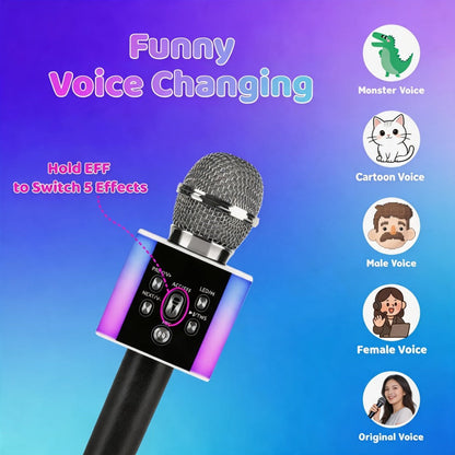 Portable Karaoke System, Rechargeable, Wireless, Limited, Time for Parties and Karaoke detail image - detail view 12