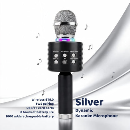 Portable Karaoke System shown in the Round-Silvery option