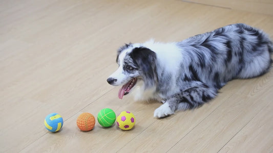 Latex Squeaky Dog Balls 4 Pack Soft Bouncy Sport Fetch Balls for Puppies & Small Dogs – 2.8 Inch Vibrant Color Chew Throw & Fetch Toy Set
