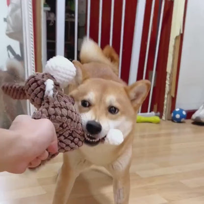 Dog Chew Toys, Squeaky Plush Rope Dog Toy Set with Animal Print for Aggressive Chewers – 6 8 or 10 Pack Interactive Tug-of-War Chew Toys