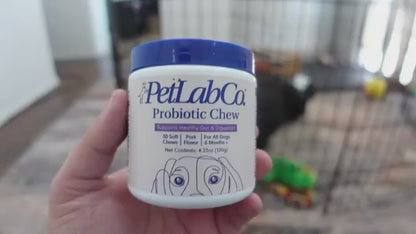 Dog Probiotic & Prebiotic Chewable Treats with Natural Ingredients – Supports Gut Health & Quality of Life for All Breeds