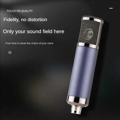 Recording Microphone, Cardioid, Condenser, F22, Metal for Recording and Streaming detail image - detail view 12