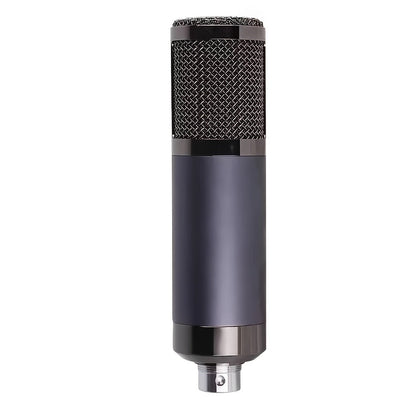 Recording Microphone shown in the Other option