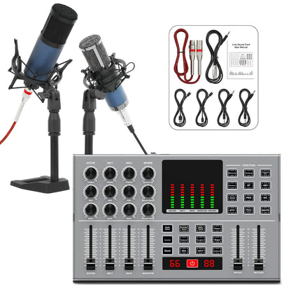 USB Audio Interface shown in the Y12+f11 dual microphone option