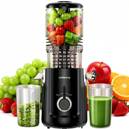 Masticating Juicer Cold Press - 4.25" Wide Feed Chute Auto-Feed Slow Juicer for Whole Fruits & Vegetables