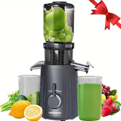 Masticating Juicer Cold Press - 4.25" Wide Feed Chute Auto-Feed Slow Juicer for Whole Fruits & Vegetables
