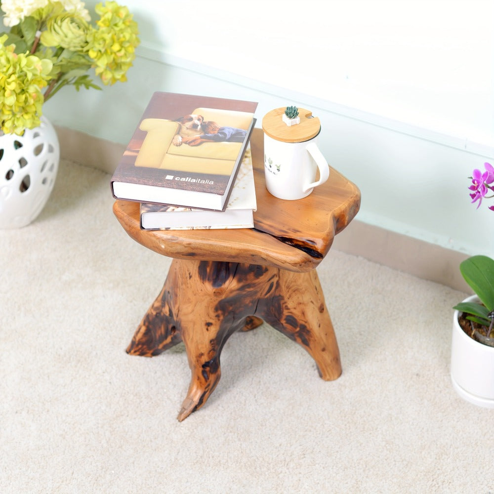 Wood Stool, Natural Edge Cedar Wood Tree Stump Stool & Side Table - Solid Fir Wood shown in the main product view
